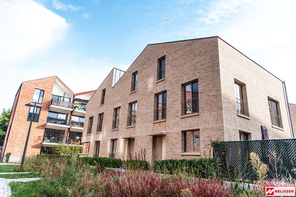 Żółta cegła na elewację, beżowa cegła elewacyjna, jasne cegły na elewacje, Monet, dom z cegły, Nelissen,  