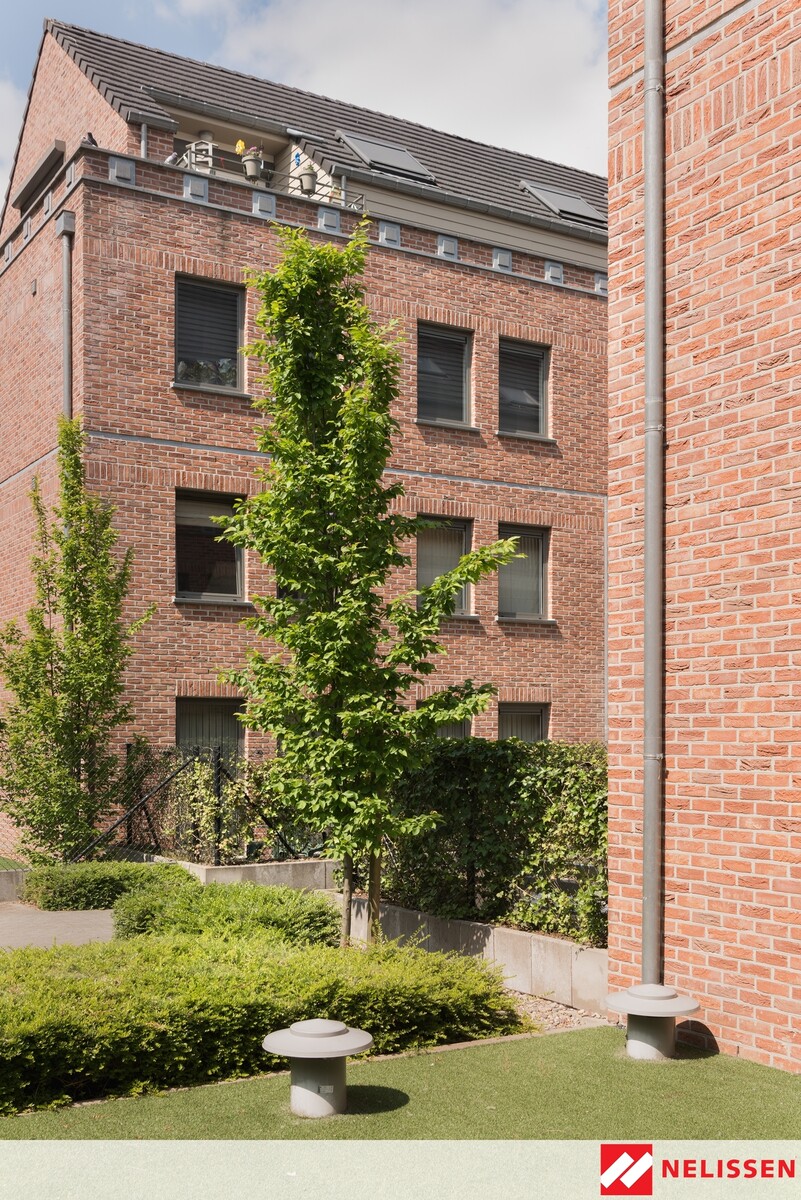 wysoki dom wielorodzinny z czerwonej cegły, dom ze skośnym dachem , nelissen_PALADIO belgijskie cegły, Nelissen