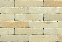 ta cegła na elewację, beżowa cegła elewacyjna, jasne cegły na elewacje, Monet